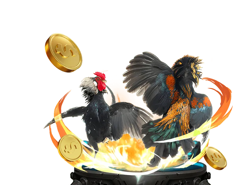 Giao diện ứng dụng cá cược đá gà trực tuyến, hiển thị các tùy chọn đặt cược và tỷ lệ kèo